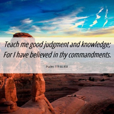 Picture 06 - Psalms 119:66 ASV - Teach me good judgment and knowledge; For I have - Bible Verse Picture