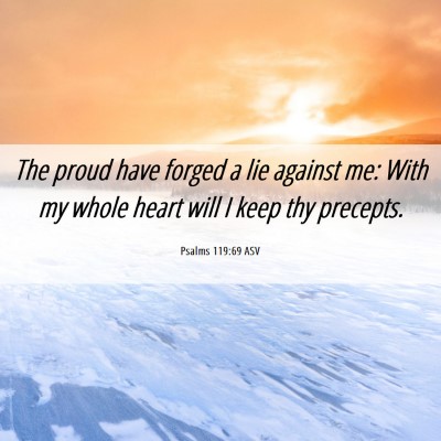 Picture 06 - Psalms 119:69 ASV - The proud have forged a lie against me: With my - Bible Verse Picture