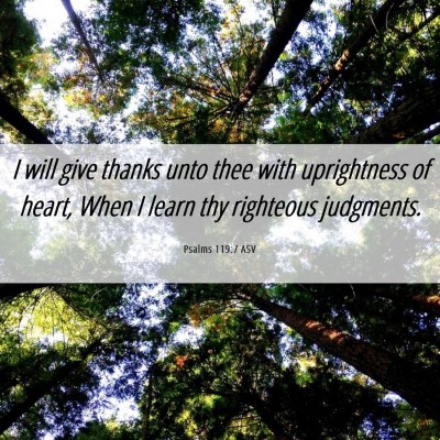 Picture 06 - Psalms 119:7 ASV - I will give thanks unto thee with uprightness of - Bible Verse Picture