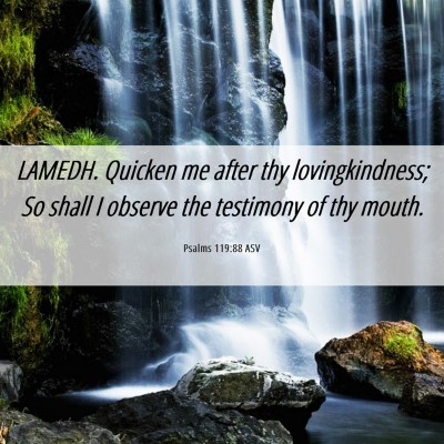 Picture 06 - Psalms 119:88 ASV - LAMEDH. Quicken me after thy lovingkindness; So - Bible Verse Picture