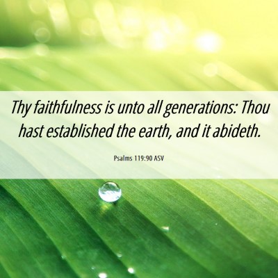 Picture 06 - Psalms 119:90 ASV - Thy faithfulness is unto all generations: Thou - Bible Verse Picture