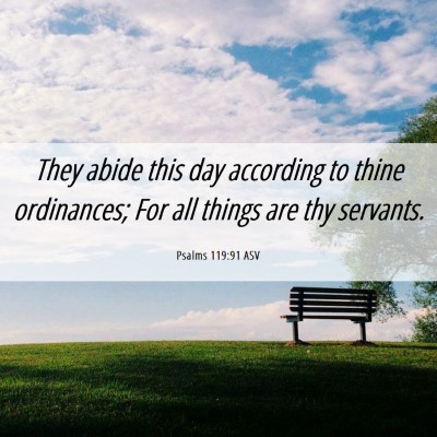 Picture 06 - Psalms 119:91 ASV - They abide this day according to thine - Bible Verse Picture