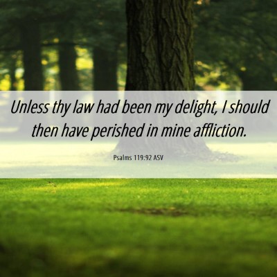 Picture 06 - Psalms 119:92 ASV - Unless thy law had been my delight, I should then - Bible Verse Picture