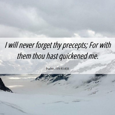Picture 06 - Psalms 119:93 ASV - I will never forget thy precepts; For with them - Bible Verse Picture