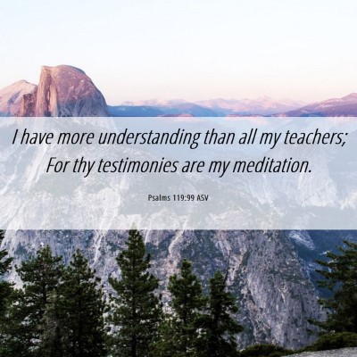 Picture 06 - Psalms 119:99 ASV - I have more understanding than all my teachers; - Bible Verse Picture