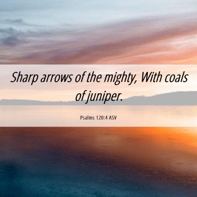 Picture 06 - Psalms 120:4 ASV - Sharp arrows of the mighty, With coals of - Bible Verse Picture