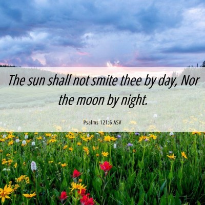 Picture 06 - Psalms 121:6 ASV - The sun shall not smite thee by day, Nor the moon - Bible Verse Picture