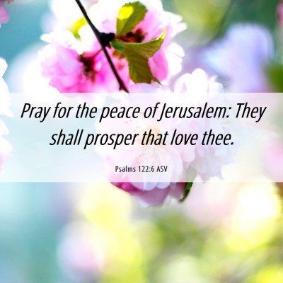 Picture 06 - Psalms 122:6 ASV - Pray for the peace of Jerusalem: They shall - Bible Verse Picture