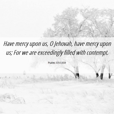 Picture 06 - Psalms 123:3 ASV - Have mercy upon us, O Jehovah, have mercy upon - Bible Verse Picture