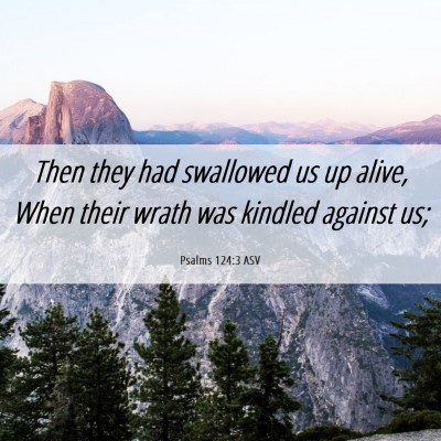Picture 06 - Psalms 124:3 ASV - Then they had swallowed us up alive, When their - Bible Verse Picture