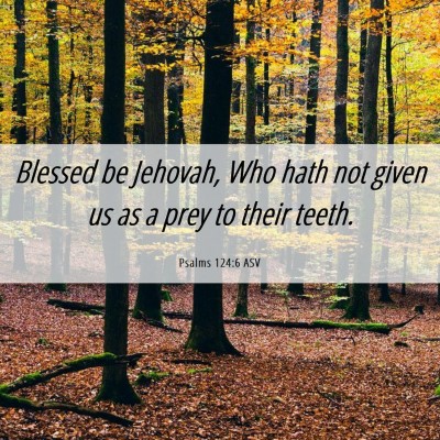Picture 06 - Psalms 124:6 ASV - Blessed be Jehovah, Who hath not given us as a - Bible Verse Picture