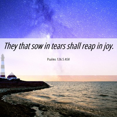 Picture 06 - Psalms 126:5 ASV - They that sow in tears shall reap in - Bible Verse Picture