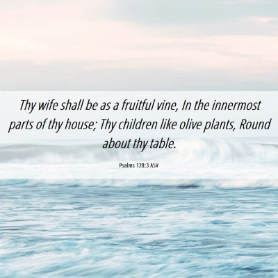 Picture 06 - Psalms 128:3 ASV - Thy wife shall be as a fruitful vine, In the - Bible Verse Picture