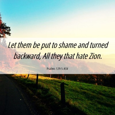 Picture 06 - Psalms 129:5 ASV - Let them be put to shame and turned backward, All - Bible Verse Picture