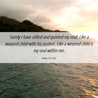 Picture 06 - Psalms 131:2 ASV - Surely I have stilled and quieted my soul; Like a - Bible Verse Picture