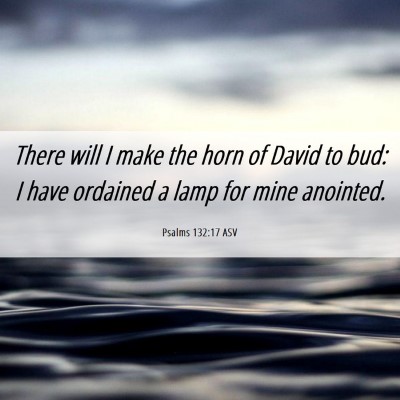 Picture 06 - Psalms 132:17 ASV - There will I make the horn of David to bud: I - Bible Verse Picture