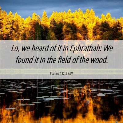 Picture 06 - Psalms 132:6 ASV - Lo, we heard of it in Ephrathah: We found it in - Bible Verse Picture