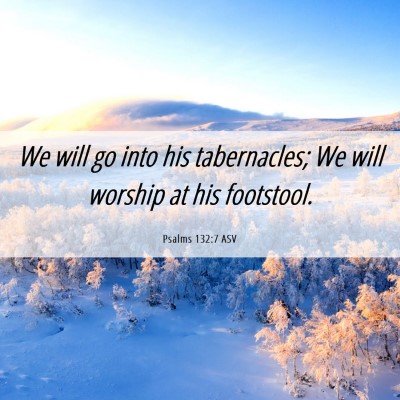 Picture 06 - Psalms 132:7 ASV - We will go into his tabernacles; We will worship - Bible Verse Picture