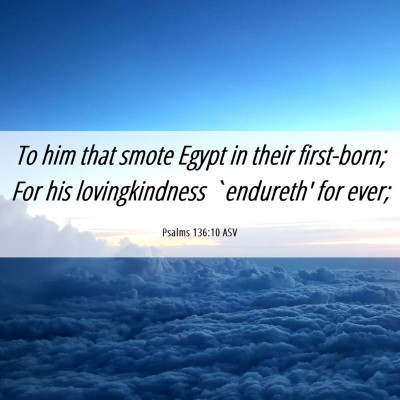 Picture 06 - Psalms 136:10 ASV - To him that smote Egypt in their first-born; For - Bible Verse Picture