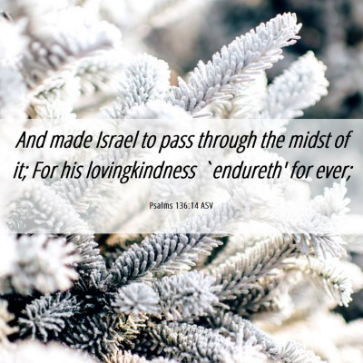 Picture 06 - Psalms 136:14 ASV - And made Israel to pass through the midst of it; - Bible Verse Picture