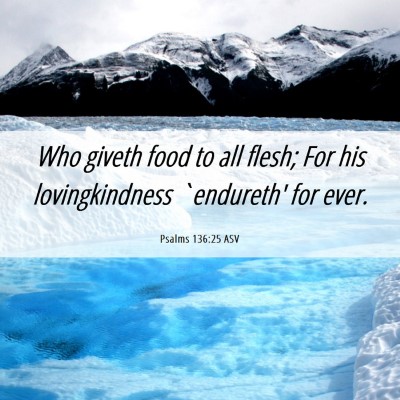 Picture 06 - Psalms 136:25 ASV - Who giveth food to all flesh; For his - Bible Verse Picture