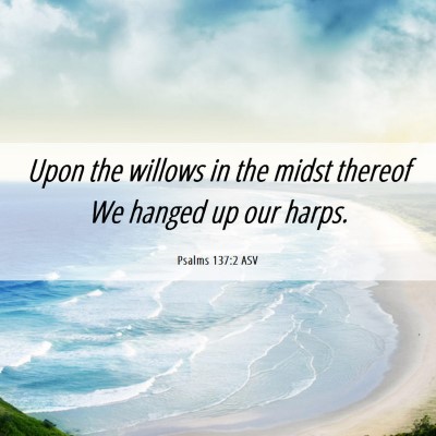 Picture 06 - Psalms 137:2 ASV - Upon the willows in the midst thereof We hanged - Bible Verse Picture