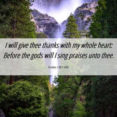 Picture 06 - Psalms 138:1 ASV - I will give thee thanks with my whole heart: - Bible Verse Picture