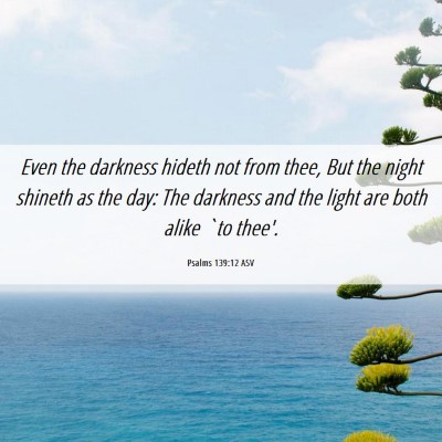 Picture 06 - Psalms 139:12 ASV - Even the darkness hideth not from thee, But the - Bible Verse Picture