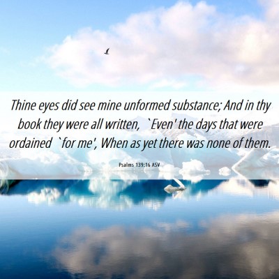 Picture 06 - Psalms 139:16 ASV - Thine eyes did see mine unformed substance; And - Bible Verse Picture