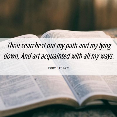 Picture 06 - Psalms 139:3 ASV - Thou searchest out my path and my lying down, And - Bible Verse Picture