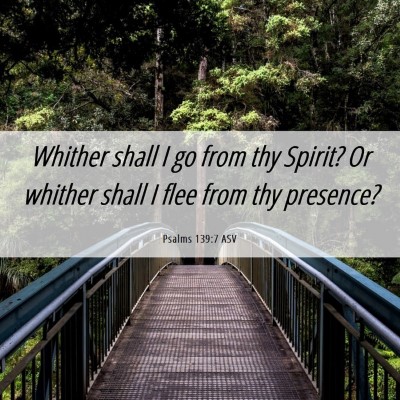 Picture 06 - Psalms 139:7 ASV - Whither shall I go from thy Spirit? Or whither - Bible Verse Picture