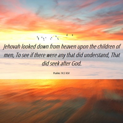 Picture 06 - Psalms 14:2 ASV - Jehovah looked down from heaven upon the children - Bible Verse Picture