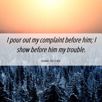 Picture 06 - Psalms 142:2 ASV - I pour out my complaint before him; I show before - Bible Verse Picture