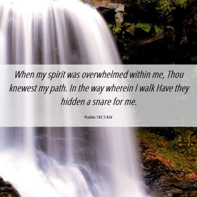 Picture 06 - Psalms 142:3 ASV - When my spirit was overwhelmed within me, Thou - Bible Verse Picture
