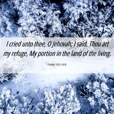 Picture 06 - Psalms 142:5 ASV - I cried unto thee, O Jehovah; I said, Thou art my - Bible Verse Picture
