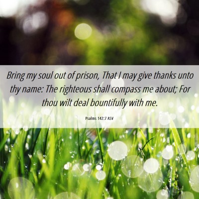Picture 06 - Psalms 142:7 ASV - Bring my soul out of prison, That I may give - Bible Verse Picture