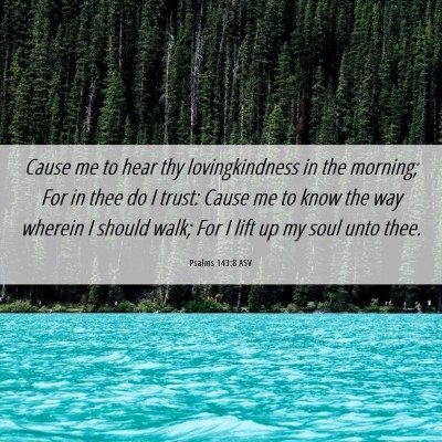 Picture 06 - Psalms 143:8 ASV - Cause me to hear thy lovingkindness in the - Bible Verse Picture