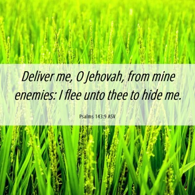 Picture 06 - Psalms 143:9 ASV - Deliver me, O Jehovah, from mine enemies: I flee - Bible Verse Picture