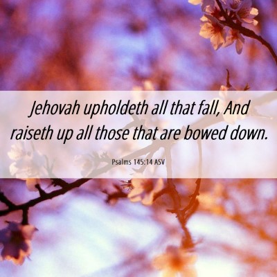 Picture 06 - Psalms 145:14 ASV - Jehovah upholdeth all that fall, And raiseth up - Bible Verse Picture