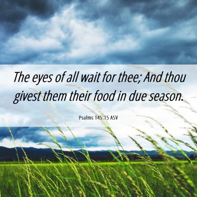 Picture 06 - Psalms 145:15 ASV - The eyes of all wait for thee; And thou givest - Bible Verse Picture