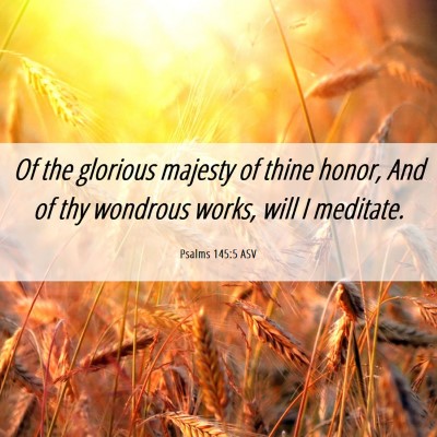 Picture 06 - Psalms 145:5 ASV - Of the glorious majesty of thine honor, And of - Bible Verse Picture