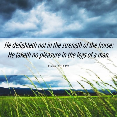 Picture 06 - Psalms 147:10 ASV - He delighteth not in the strength of the horse: - Bible Verse Picture