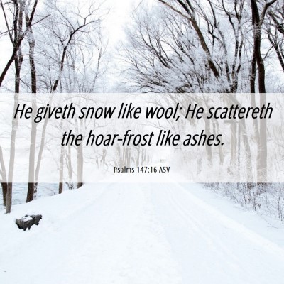 Picture 06 - Psalms 147:16 ASV - He giveth snow like wool; He scattereth the - Bible Verse Picture