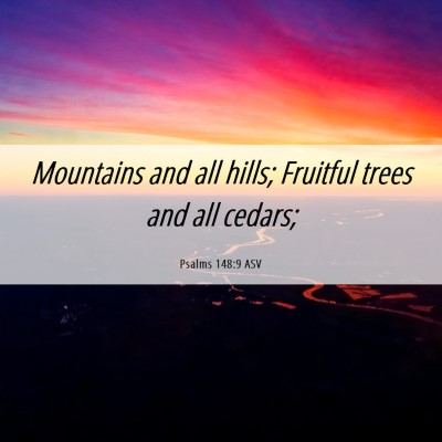 Picture 06 - Psalms 148:9 ASV - Mountains and all hills; Fruitful trees and all - Bible Verse Picture