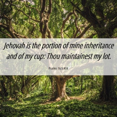 Picture 06 - Psalms 16:5 ASV - Jehovah is the portion of mine inheritance and of - Bible Verse Picture