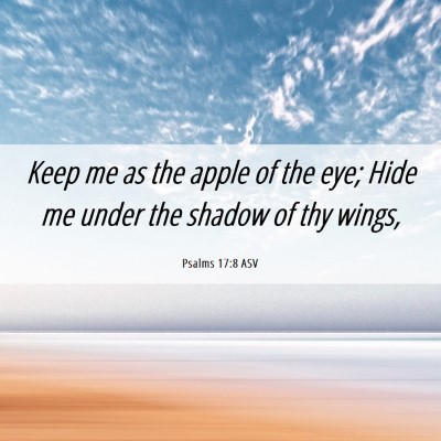 Picture 06 - Psalms 17:8 ASV - Keep me as the apple of the eye; Hide me under - Bible Verse Picture