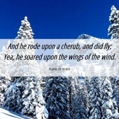 Picture 06 - Psalms 18:10 ASV - And he rode upon a cherub, and did fly; Yea, he - Bible Verse Picture