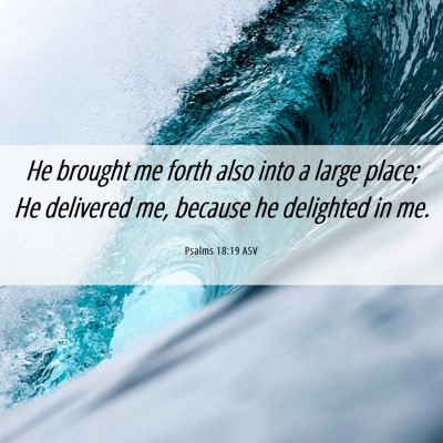 Picture 06 - Psalms 18:19 ASV - He brought me forth also into a large place; He - Bible Verse Picture