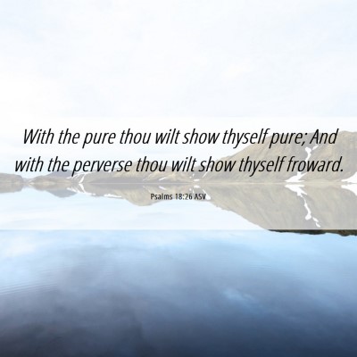 Picture 06 - Psalms 18:26 ASV - With the pure thou wilt show thyself pure; And - Bible Verse Picture