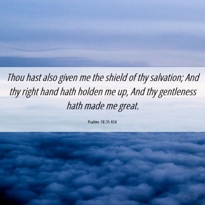 Picture 06 - Psalms 18:35 ASV - Thou hast also given me the shield of thy - Bible Verse Picture